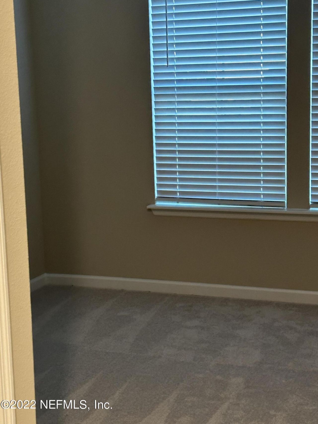 568 Brown Bear, Fruit Cove, FL 32259 Photo