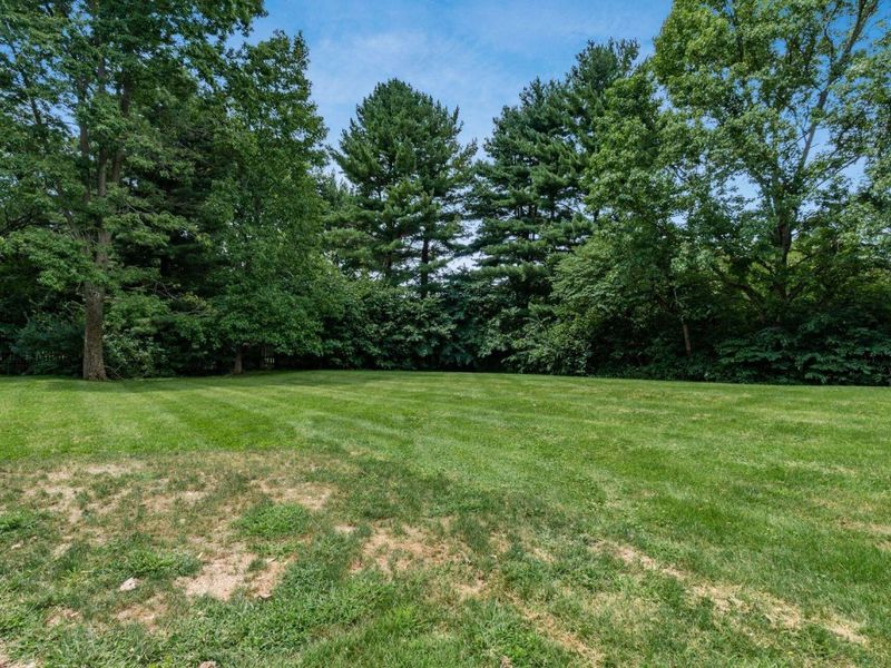 2453 Reyn New Albany Road, Blacklick, OH 43004 Photo 10