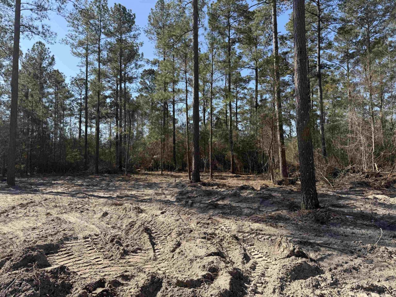 265 Apple Valley Rd. Photo 4