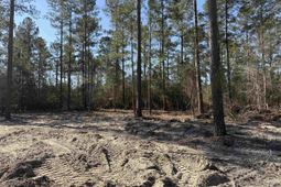 265 Apple Valley Rd. photo 4