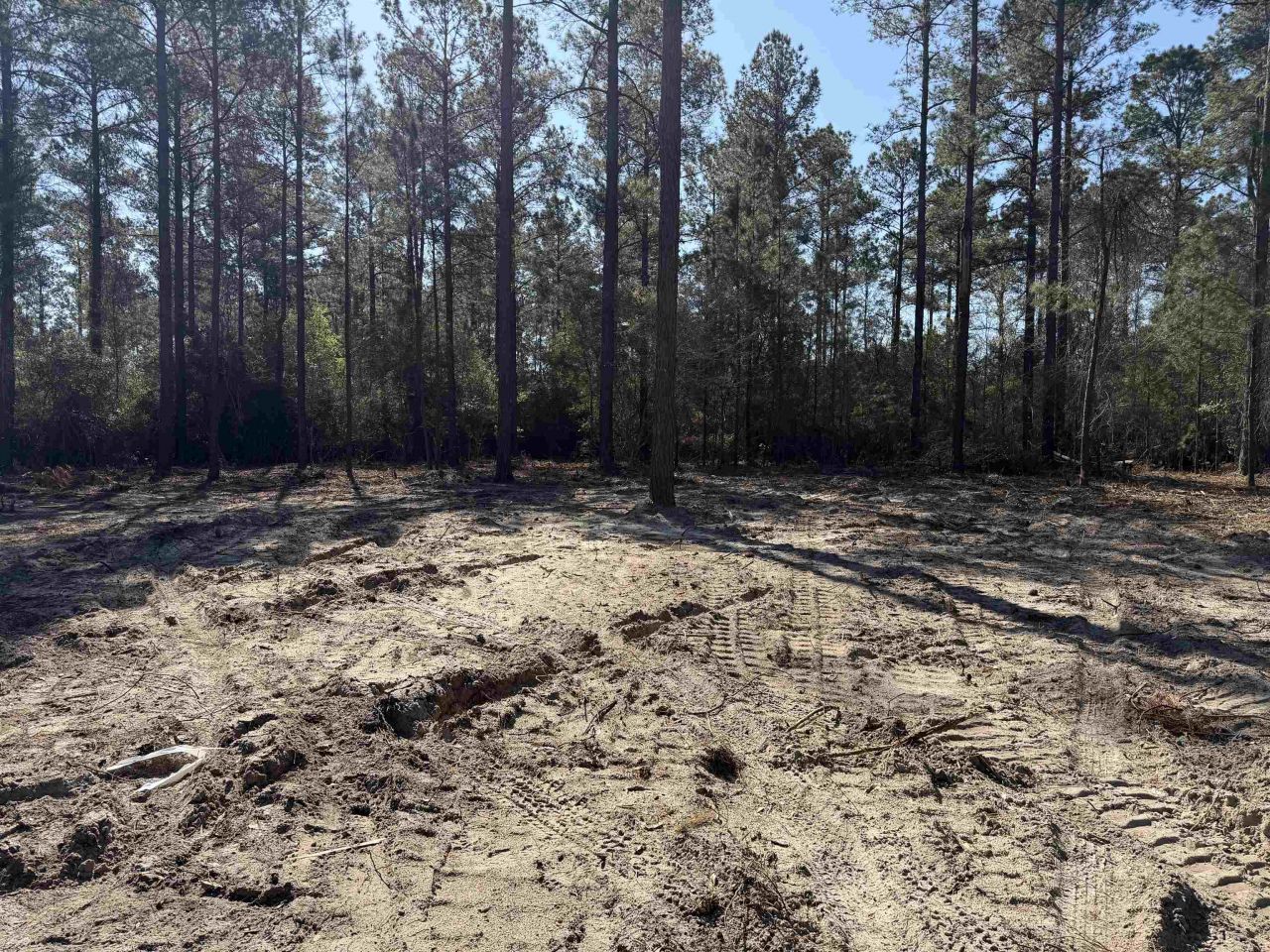 265 Apple Valley Rd. Photo 6