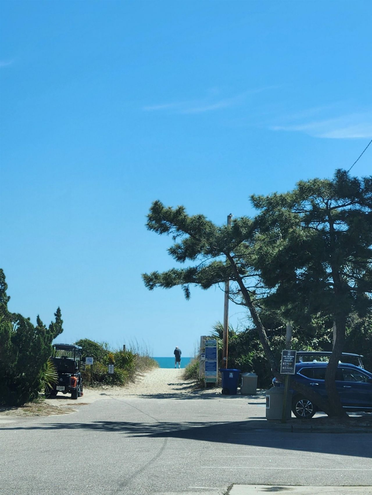 308 Sandcrest Dr. Photo 19