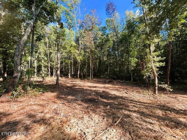 Tract 4 Pleasant Hill Rd, Ten Mile, TN 37880