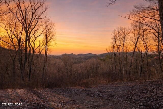 Lot 51 Cloud View Drive, Sevierville, TN 37862 Main Photo