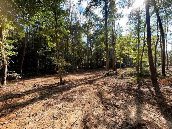 Tract 4 Pleasant Hill Road, Ten Mile, TN 37880