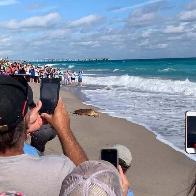 605 Mainsail Circle, Jupiter, FL 33477 Photo