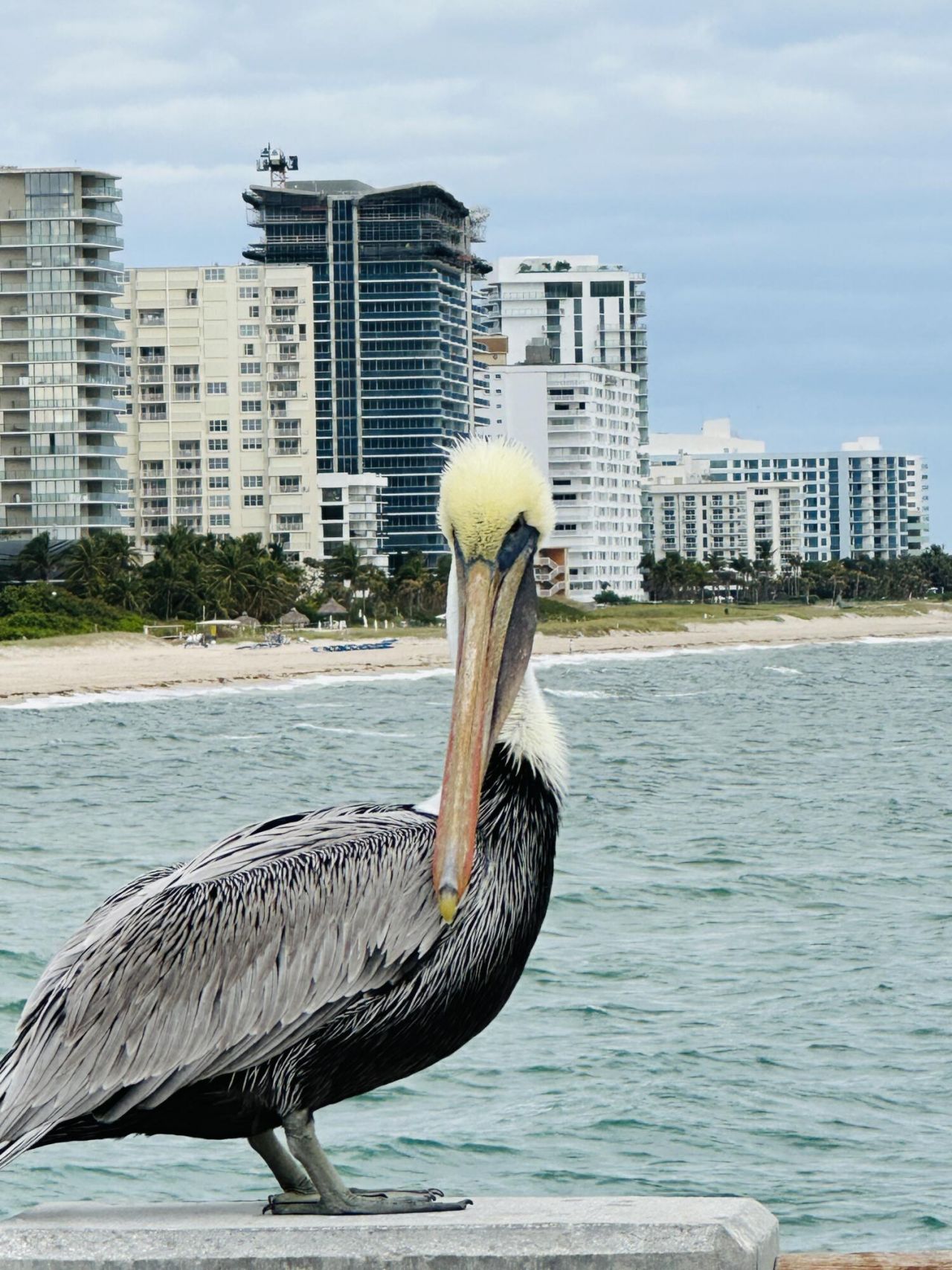 750 N Ocean Boulevard, Unit Apt 604, Pompano Beach, FL 33062 Photo
