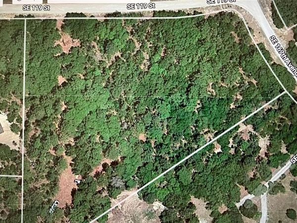 TBD SE 119 STREET , OCKLAWAHA, FL 32179