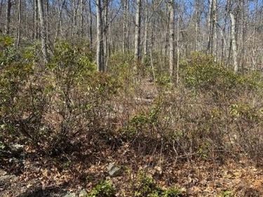 FOX TRAIL, WINCHESTER, VA 22602