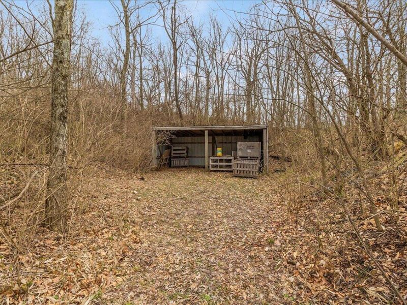 7969 Township Road 166 , West Liberty, OH 43357 Photo 87