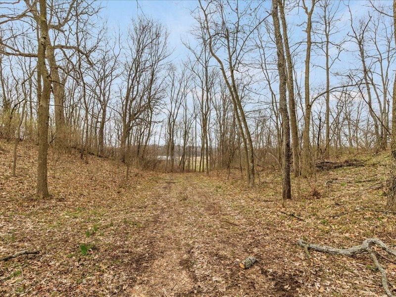 7969 Township Road 166 , West Liberty, OH 43357 Photo 89