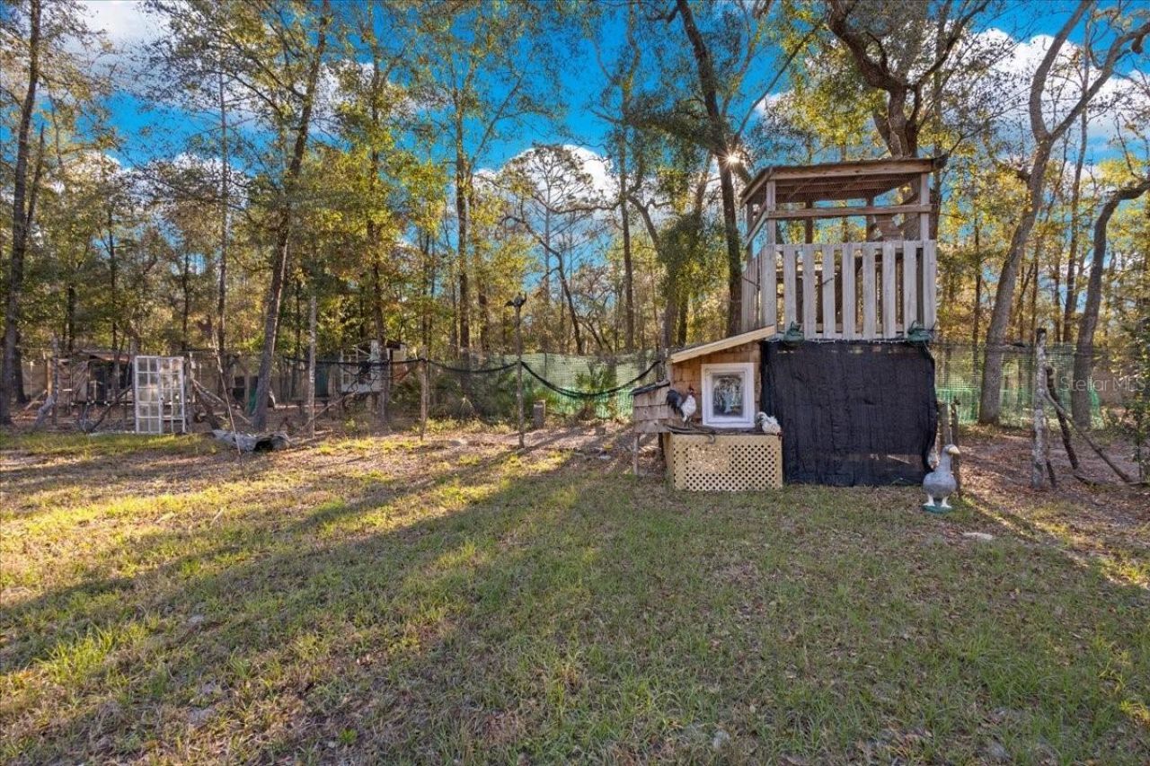 5850 NW 50th Street , Bell, FL 32619 Photo