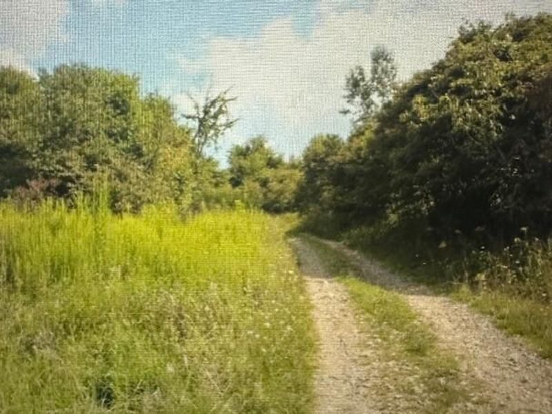 12521 Fallsburg Road NE, Frazeysburg, OH 43822 Photo 11