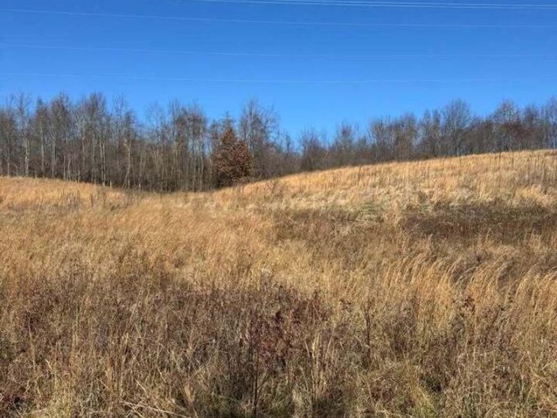 12521 Fallsburg Road NE, Frazeysburg, OH 43822 Photo 13