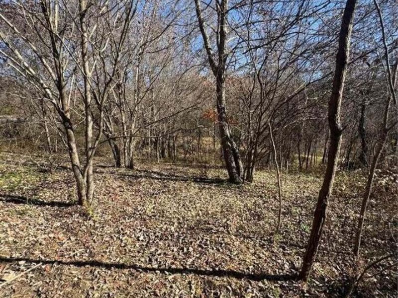 12521 Fallsburg Road NE, Frazeysburg, OH 43822 Photo 17