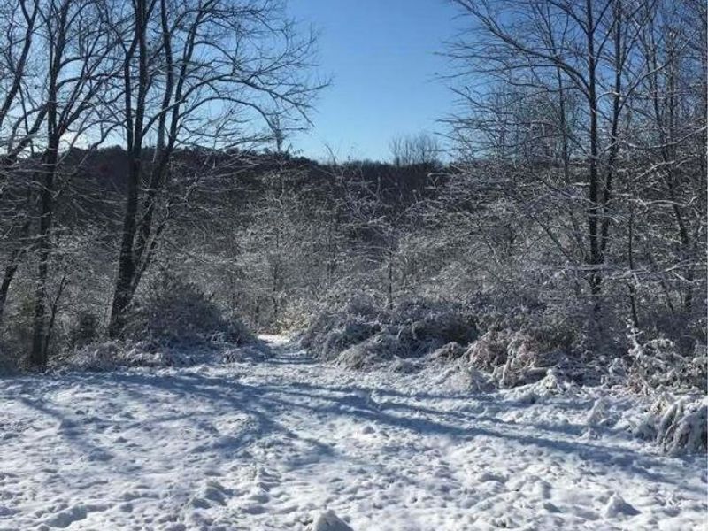 12521 Fallsburg Road NE, Frazeysburg, OH 43822 Photo 18