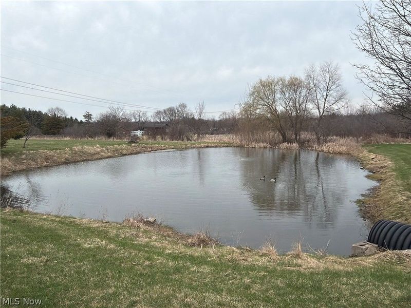 3629 Windsong Drive , Medina, OH 44256 Photo 31