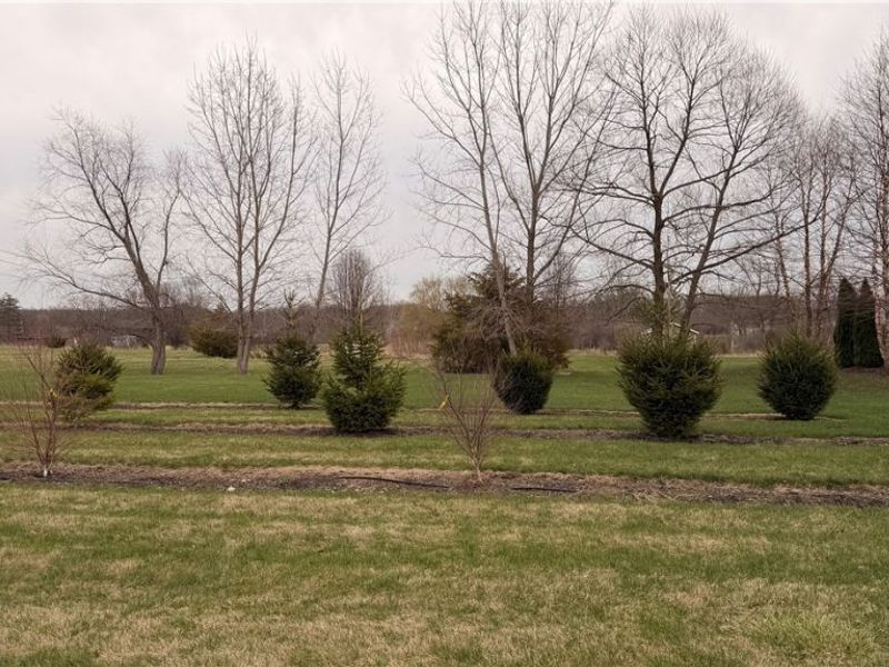 3629 Windsong Drive , Medina, OH 44256 Photo 4