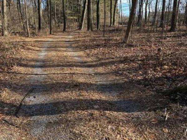LOT 2, PARCEL 240 HARPERS FERRY ROAD , KNOXVILLE, MD 21758