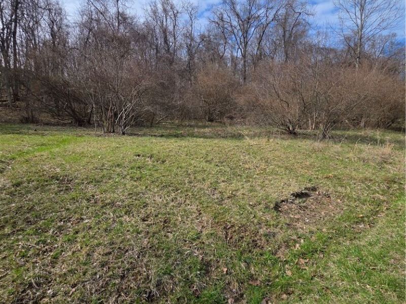 Iroquois Trail, Senecaville, OH 43780 Photo 1