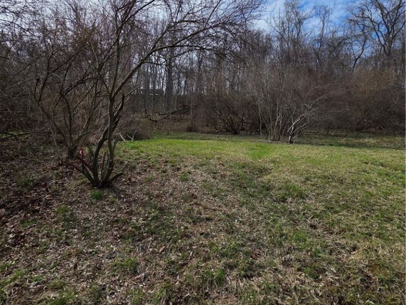 Iroquois Trail, Senecaville, OH 43780 Photo 11