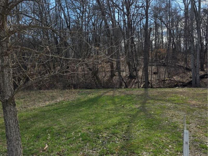 Iroquois Trail, Senecaville, OH 43780 Photo 14