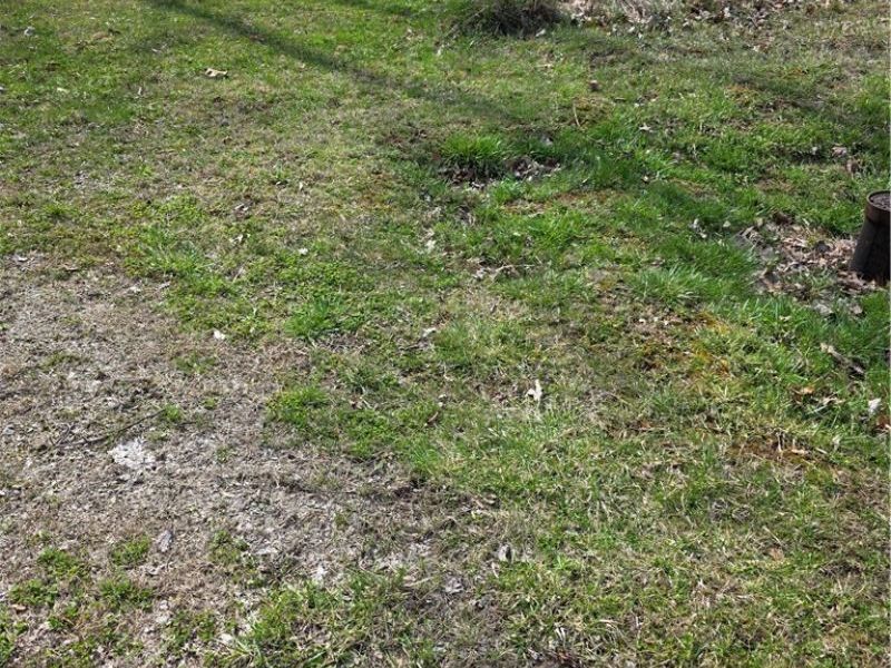 Iroquois Trail, Senecaville, OH 43780 Photo 17