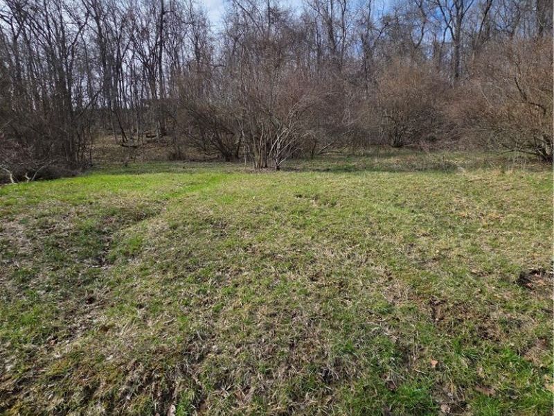 Iroquois Trail, Senecaville, OH 43780 Photo 2