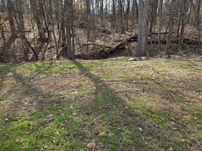 Iroquois Trail, Senecaville, OH 43780 Photo 21