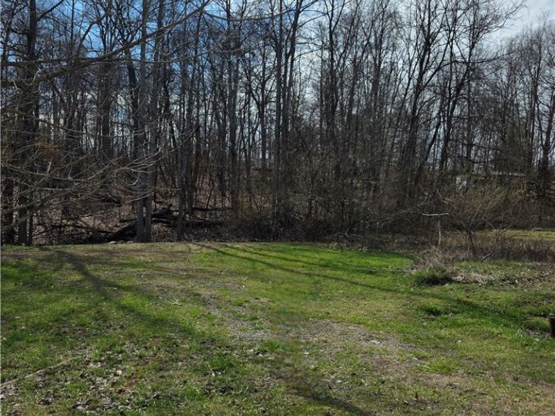 Iroquois Trail, Senecaville, OH 43780 Photo 26