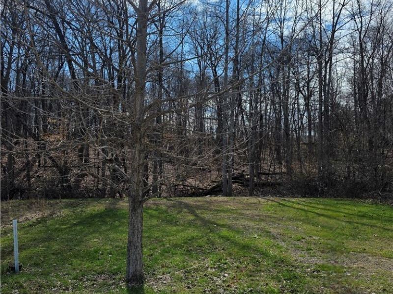 Iroquois Trail, Senecaville, OH 43780 Photo 27