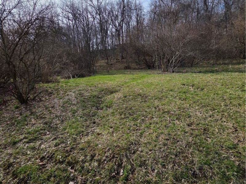 Iroquois Trail, Senecaville, OH 43780 Photo 3