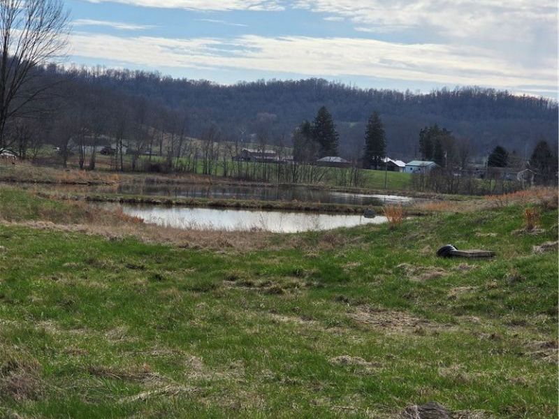 Iroquois Trail, Senecaville, OH 43780 Photo 32