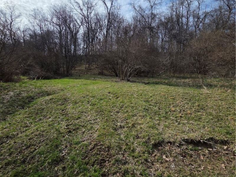 Iroquois Trail, Senecaville, OH 43780 Photo 4