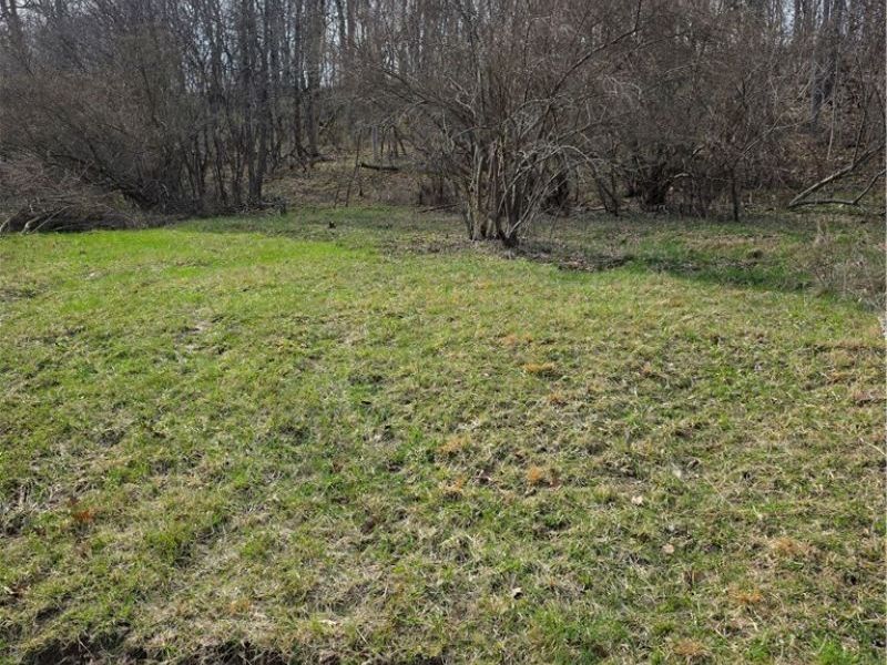 Iroquois Trail, Senecaville, OH 43780 Photo 5