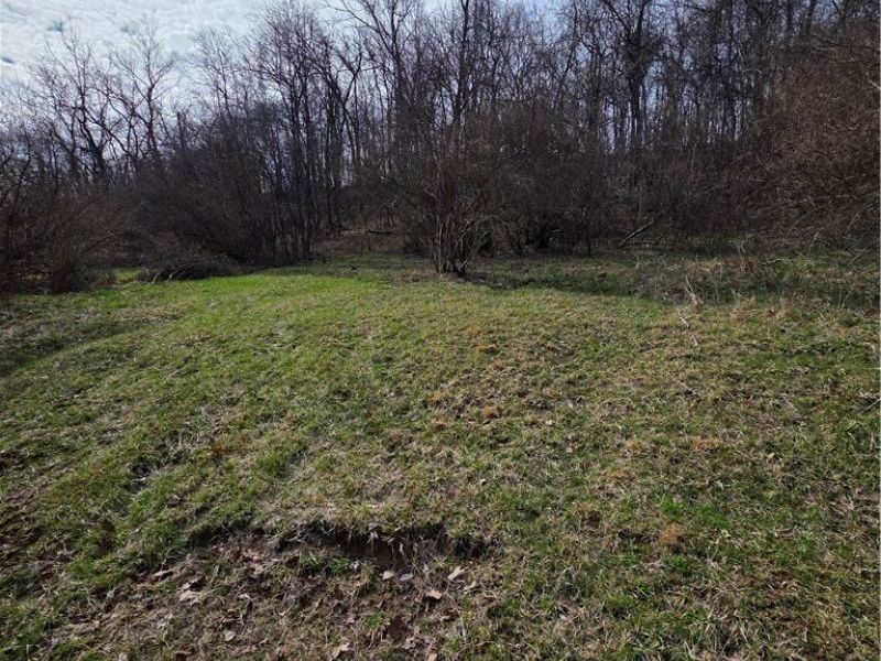 Iroquois Trail, Senecaville, OH 43780 Photo 6