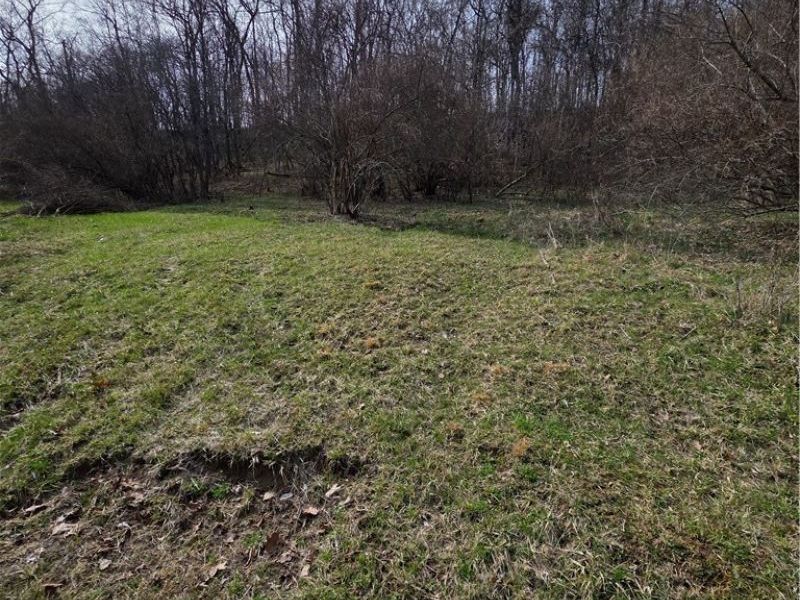 Iroquois Trail, Senecaville, OH 43780 Photo 7