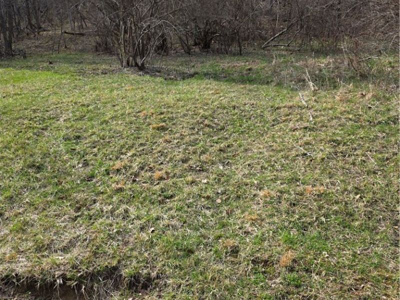 Iroquois Trail, Senecaville, OH 43780 Photo 8