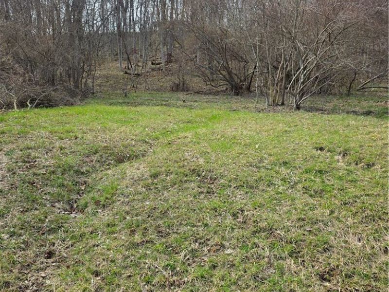 Iroquois Trail, Senecaville, OH 43780 Photo 9