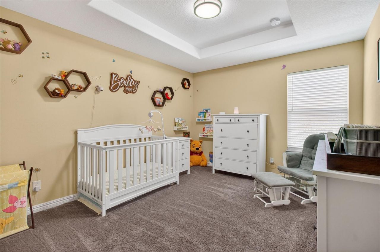 3503 W Price Avenue, Tampa, FL 33611 Photo