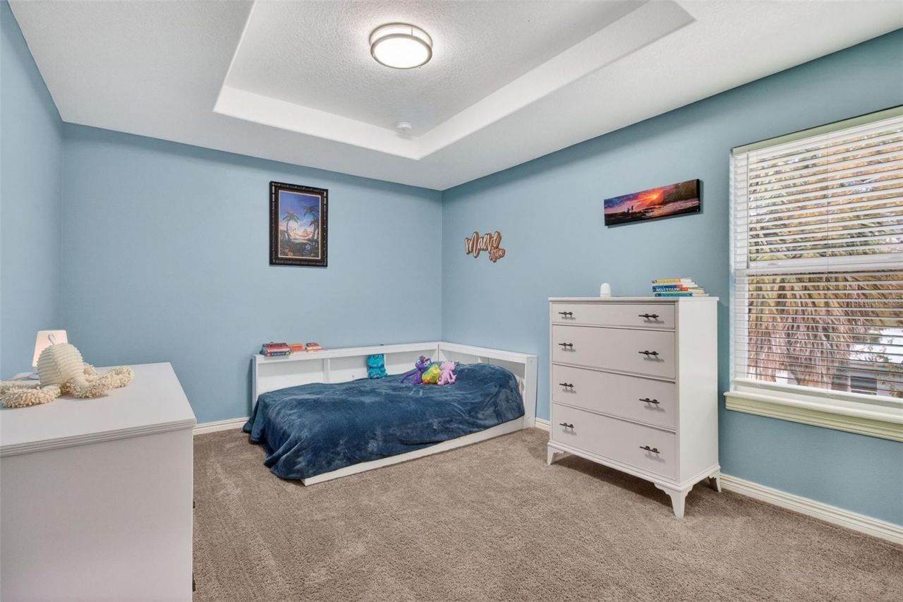 3503 W Price Avenue, Tampa, FL 33611 Photo