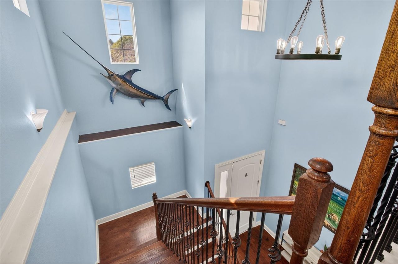 3503 W Price Avenue, Tampa, FL 33611 Photo