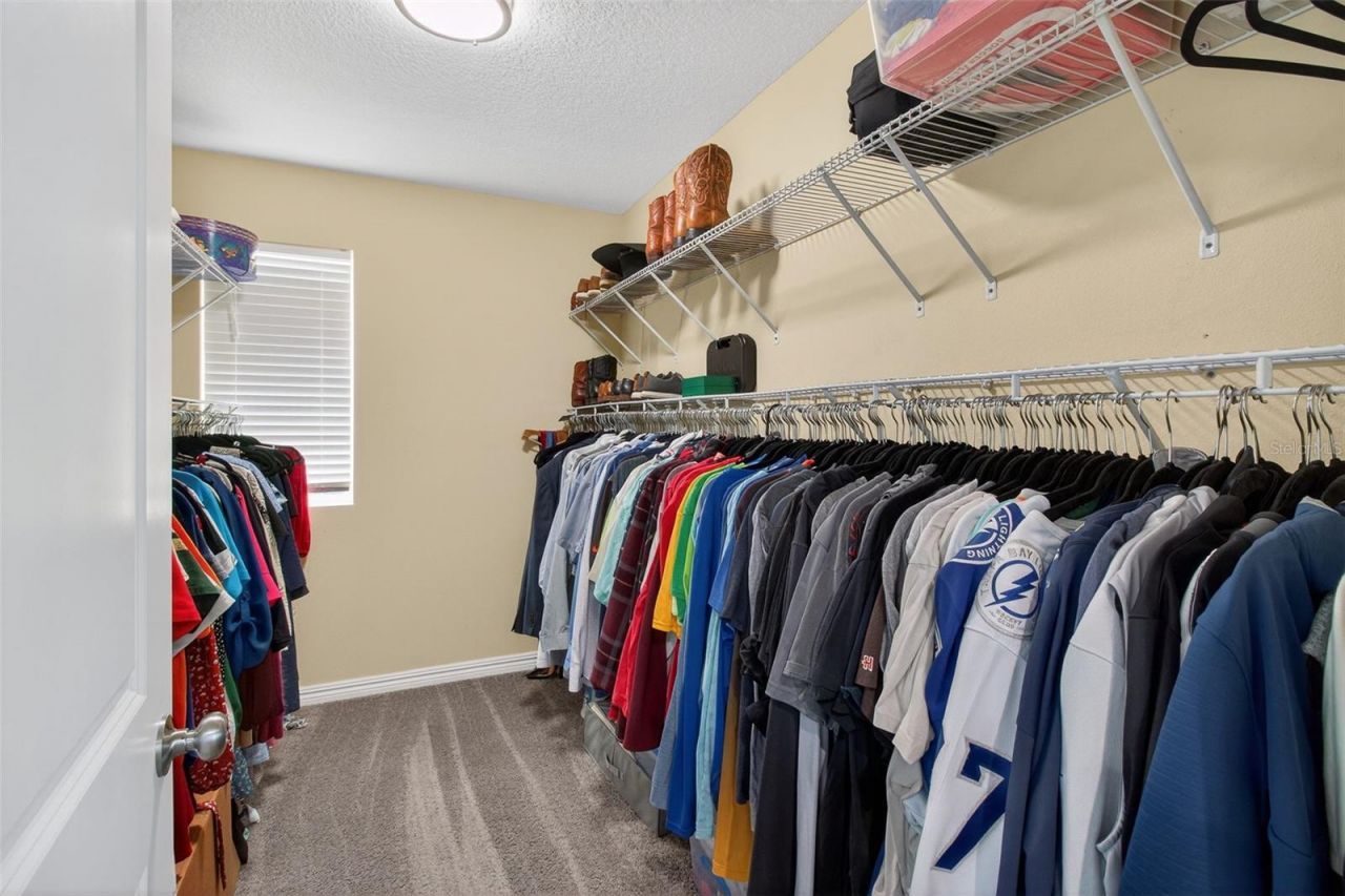 3503 W Price Avenue, Tampa, FL 33611 Photo