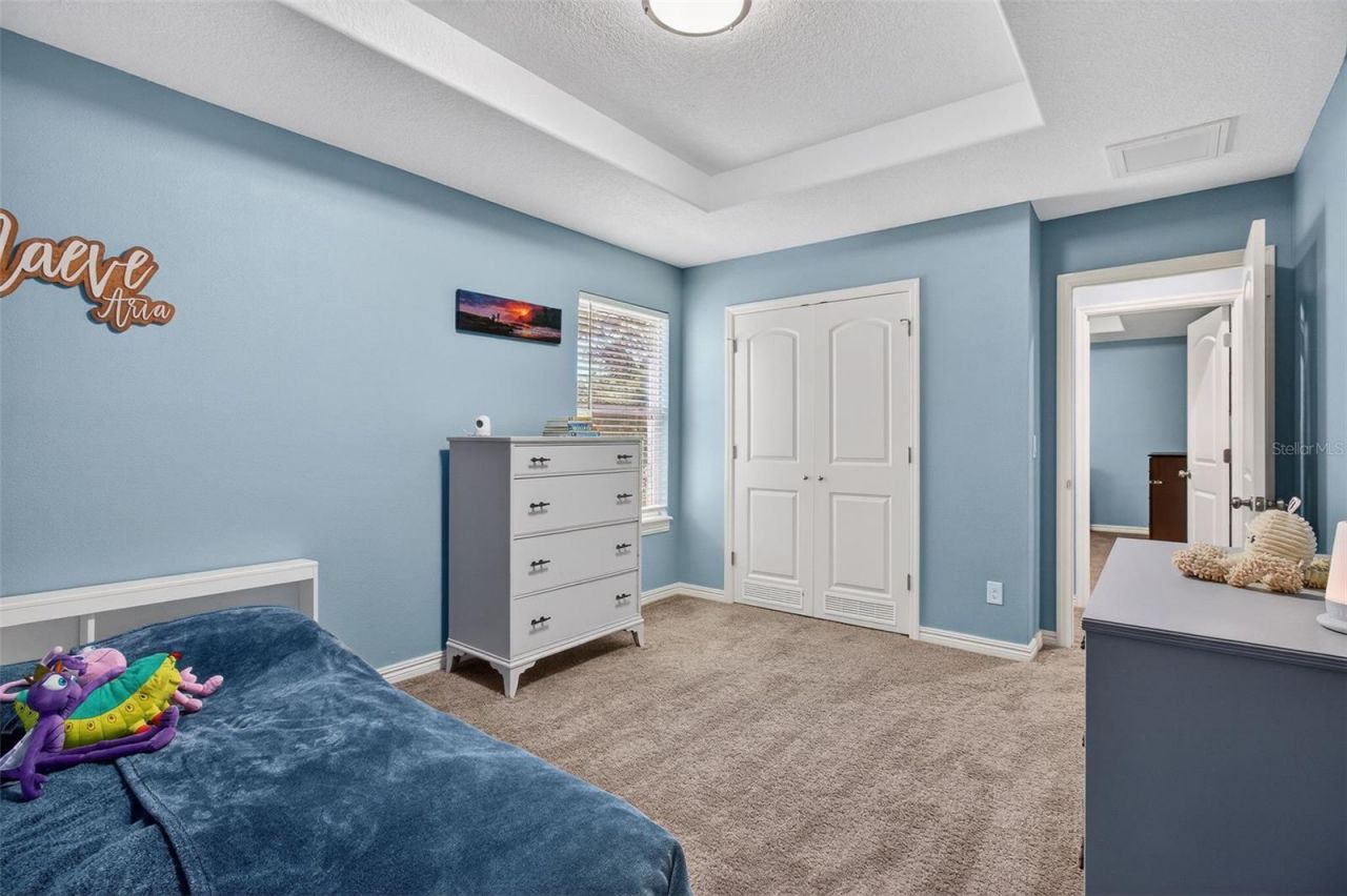 3503 W Price Avenue, Tampa, FL 33611 Photo