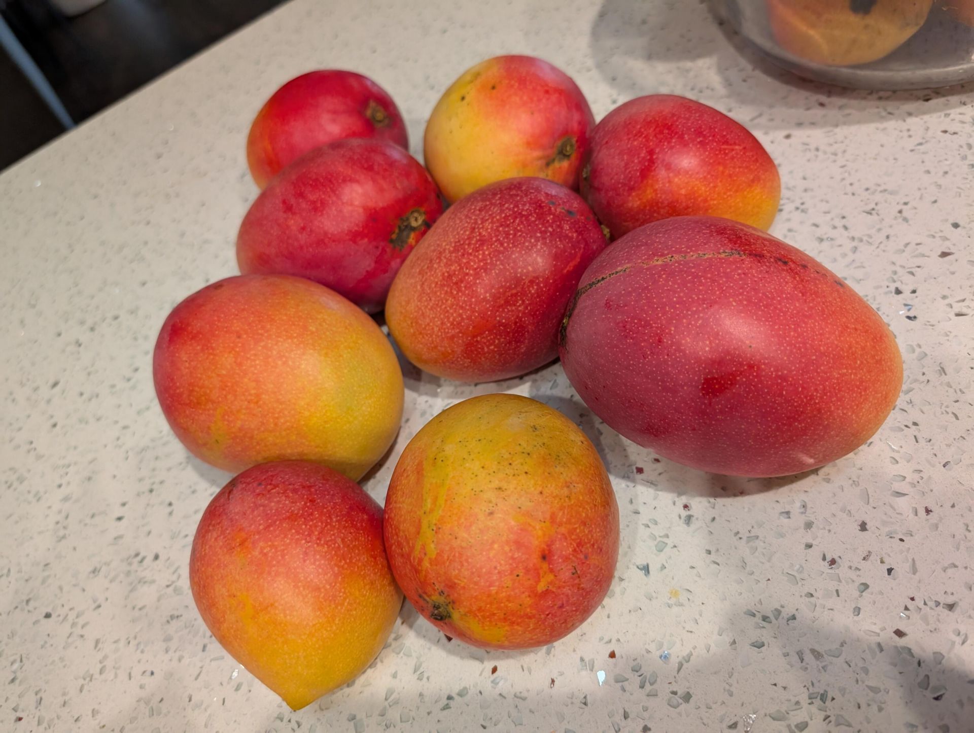 1738 Lindsey Court, Wellington, FL 33414 Photo