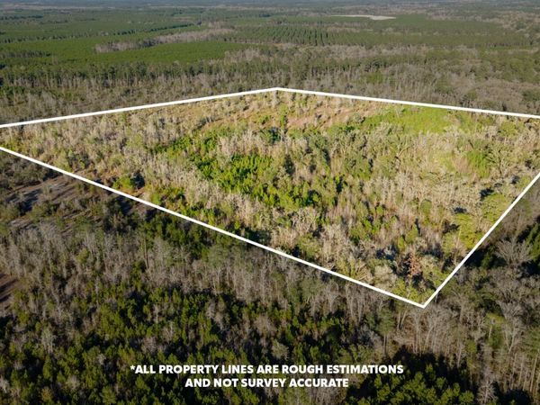 TBD SE RED CASON DR, LuLu, FL 32061