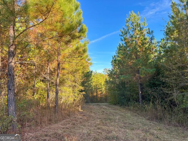 49 ACRES Jordon Road, Waverly Hall, GA 31831