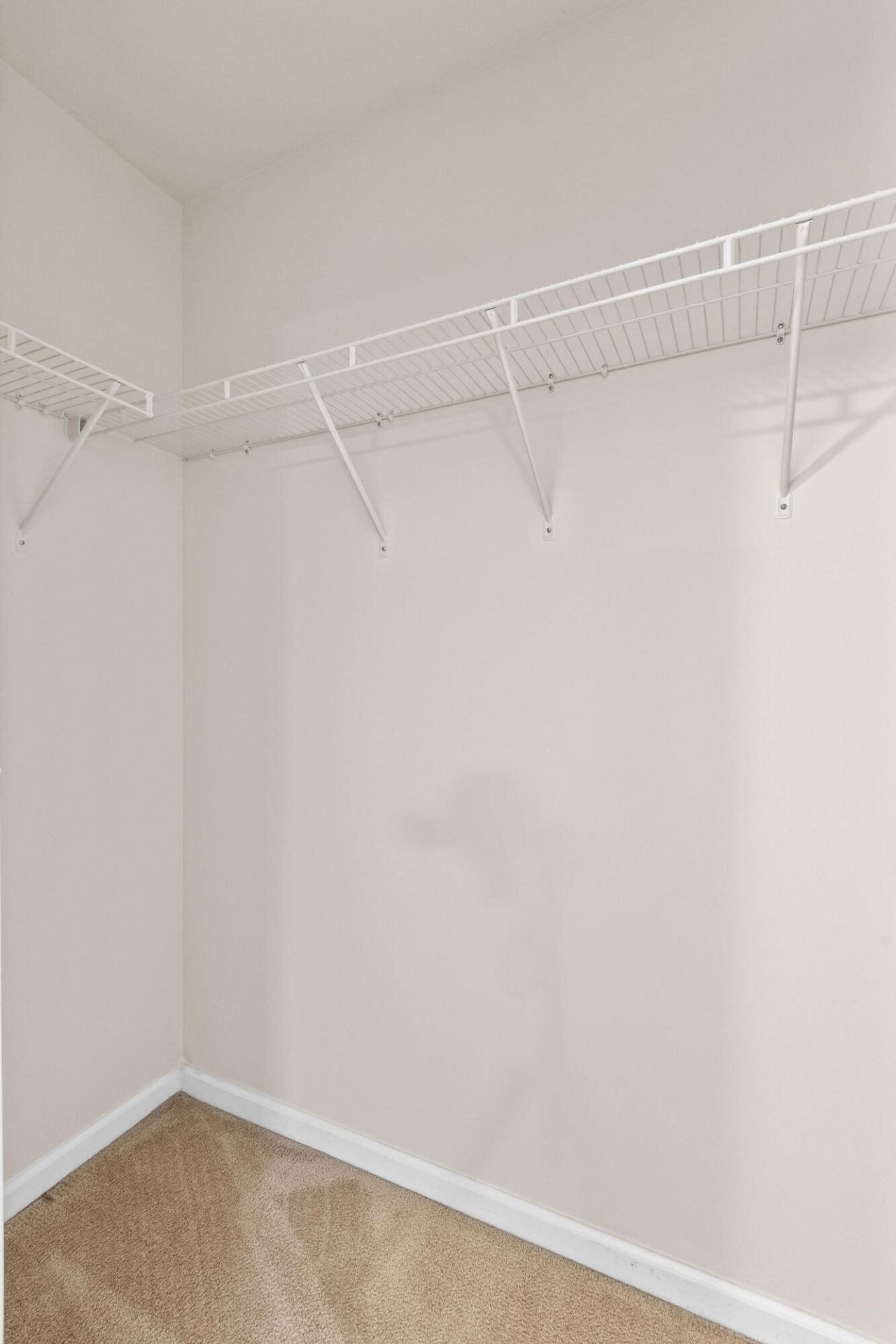 325 Flyway Road Photo 37