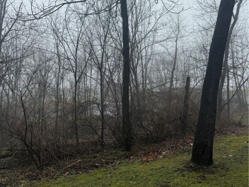 3230 Gable Road NW, Carrollton, OH 44620 Photo 7