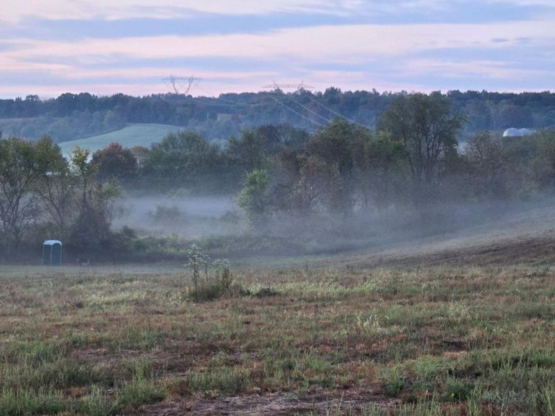 32975 Salem School Lot Road, Langsville, OH 45741 Photo 10